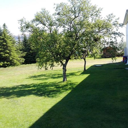 Hotel Stadarborg Breiddalsvik Bagian luar foto
